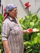 Evlambia mit Haloumi